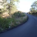 DSC01104